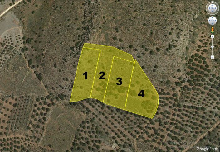 Image No.4-Plot for sale