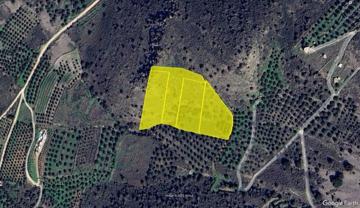 Image No.4-Plot for sale