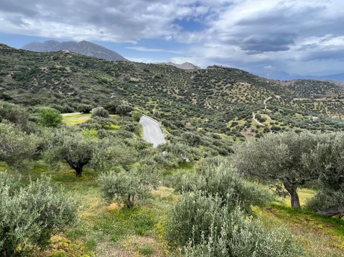 Image No.11-Plot for sale