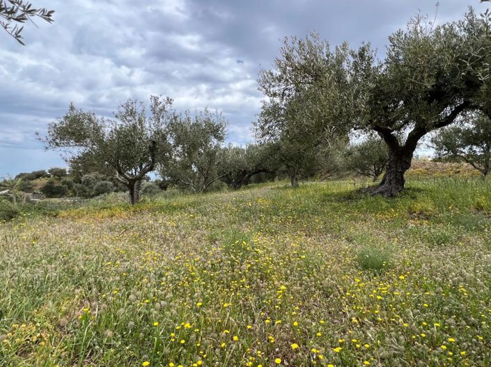 Image No.4-Plot for sale