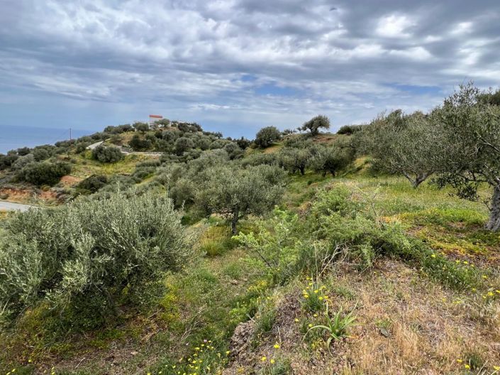 Image No.5-Plot for sale