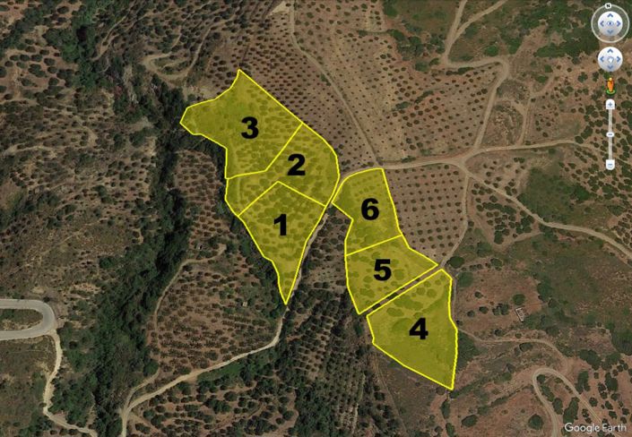 Image No.4-Terrain à vendre à Lasithi