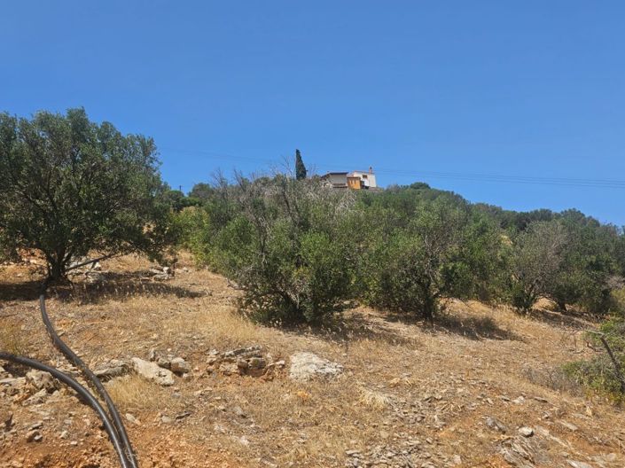 Image No.11-Terre à vendre à Agios Nikolaos