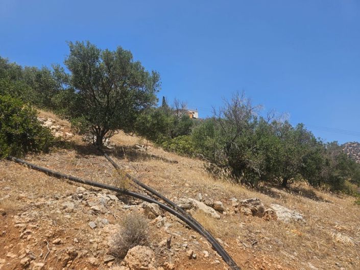 Image No.9-Terre à vendre à Agios Nikolaos