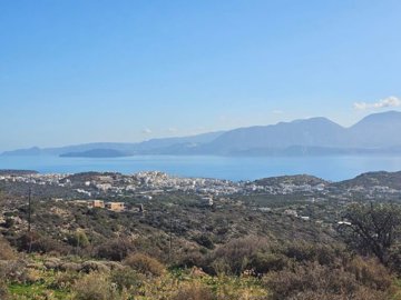 plag176-photo-3-1024x768