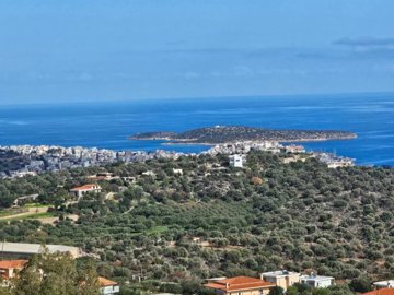 plag176-photo-15-1024x768