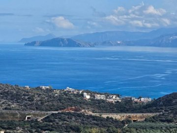 plag176-photo-17-1024x768