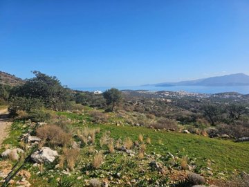 plag176-photo-7-1024x768