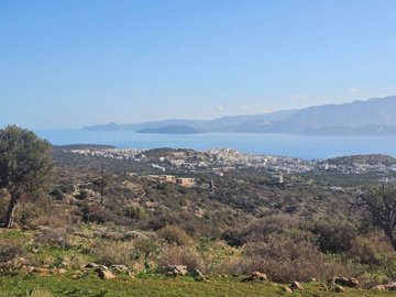 plag176-photo-2-1024x768