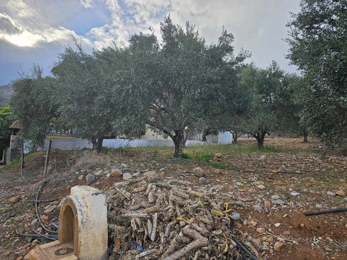 Image No.2-Plot for sale