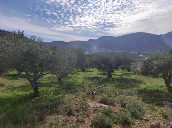 Image No.3-Terrain à vendre à Agios Nikolaos