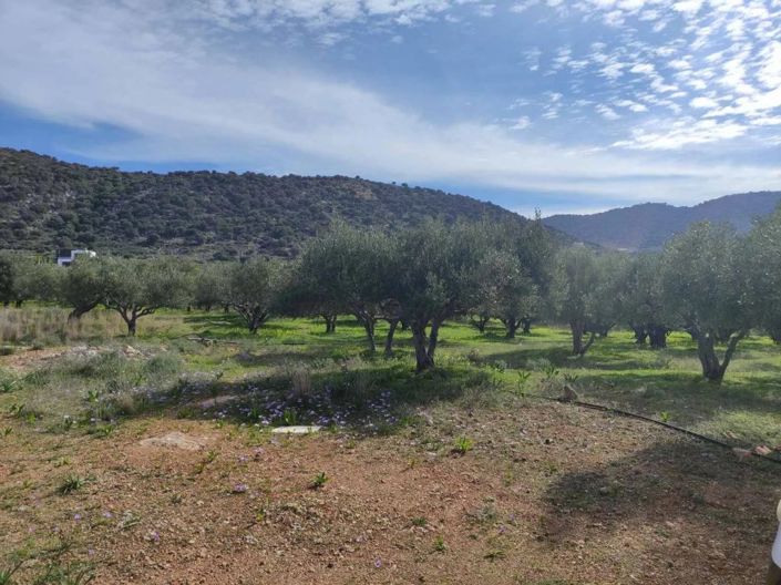 Image No.7-Terrain à vendre à Agios Nikolaos