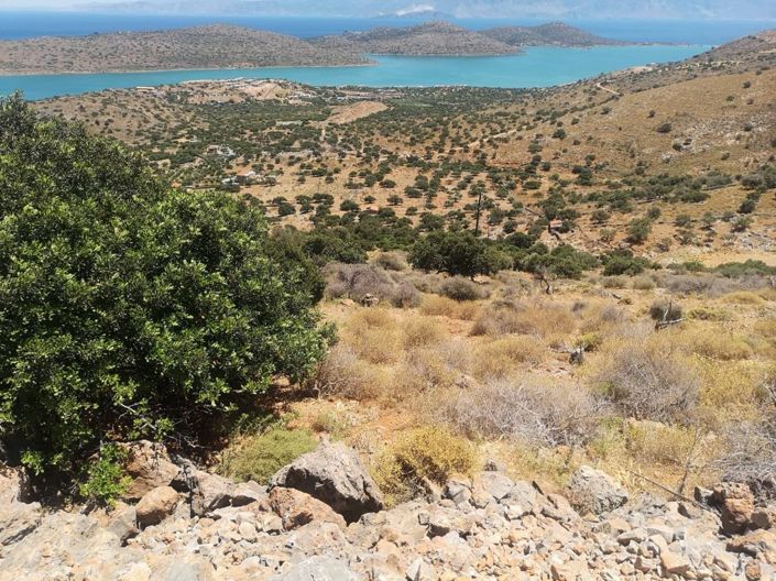 Image No.3-Terrain à vendre à Elounda