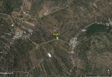 pllac3-4-1024x710