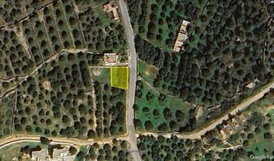 plvrou6-1-1024x604
