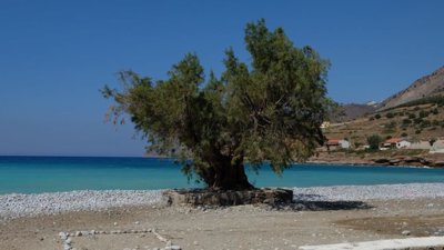 tholos-beach-1024x577