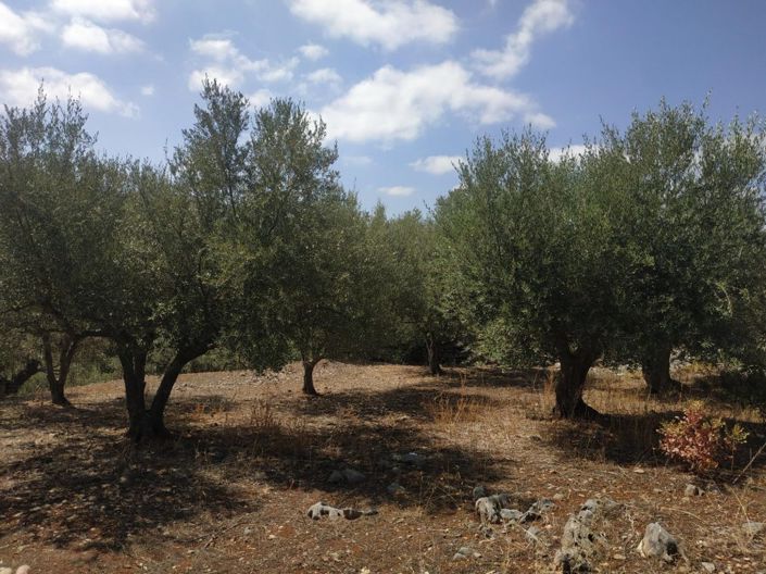 Image No.7-Plot for sale