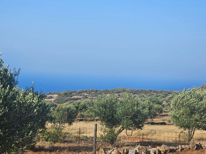 Image No.1-Plot for sale