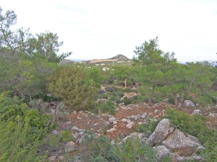 Image No.14-Plot for sale