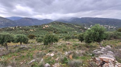 pllac34-photo-1-1024x576