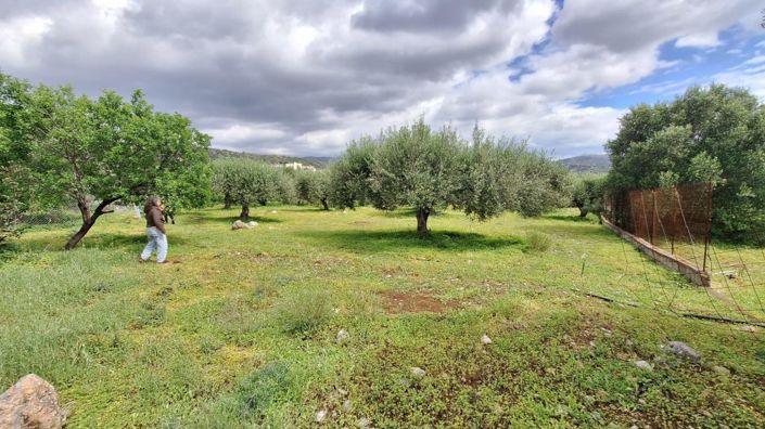 Image No.9-Terrain à vendre à Agios Nikolaos