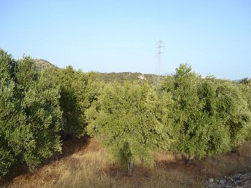 plvat18-photo-7-1024x768