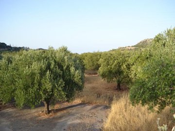plvat18-photo-6-1024x768