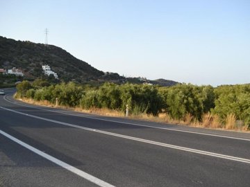 plvat18-photo-3-1024x768