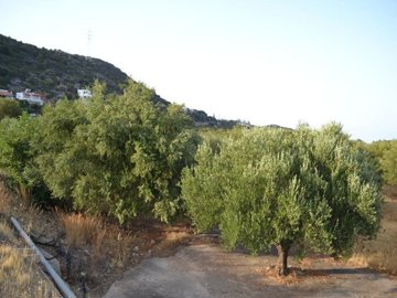 plvat18-photo-5-1024x768