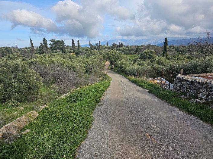 Image No.4-Plot for sale