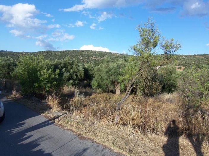 Image No.10-Terrain à vendre à Agios Nikolaos