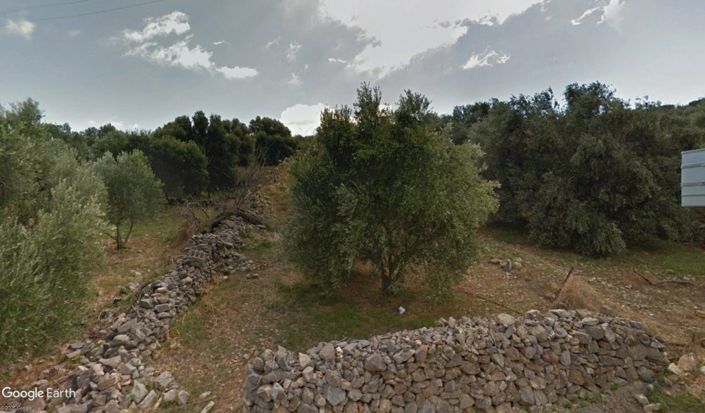 Image No.4-Plot for sale