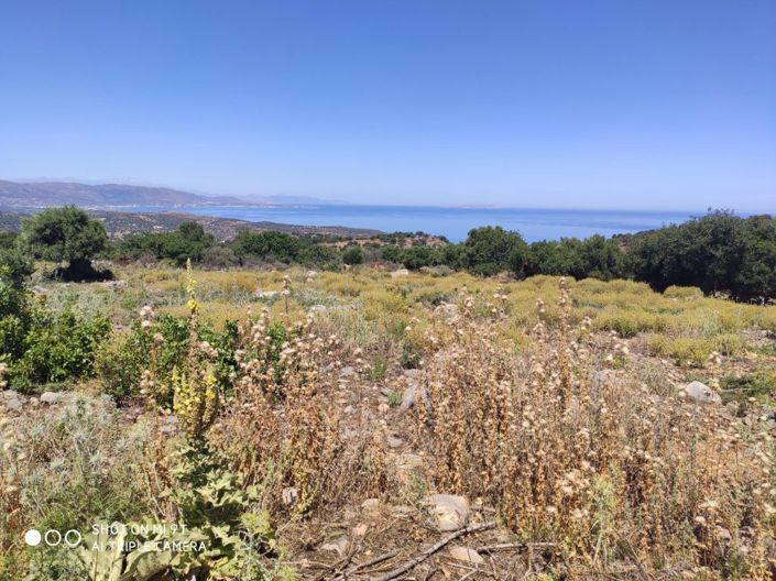 Image No.13-Terre à vendre à Agios Nikolaos