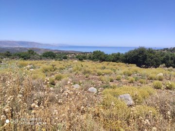 plkoun1-2-1-1024x768