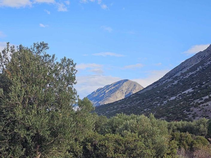 Image No.10-Plot for sale