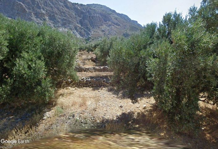 Image No.3-Plot for sale