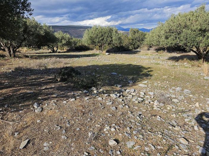 Image No.7-Plot for sale