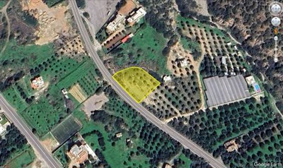 plpah11-1-1024x612