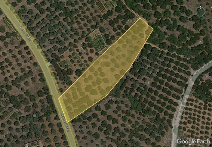 Image No.5-Plot for sale