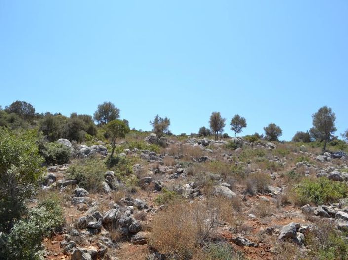 Image No.13-Plot for sale