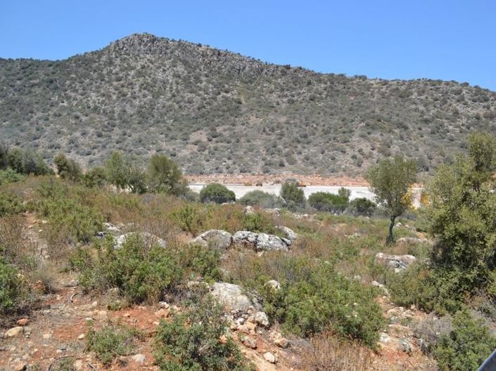 Image No.15-Plot for sale