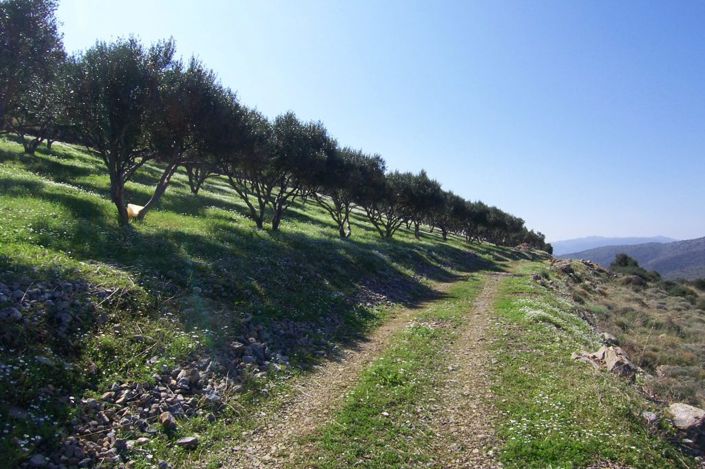 Image No.12-Plot for sale