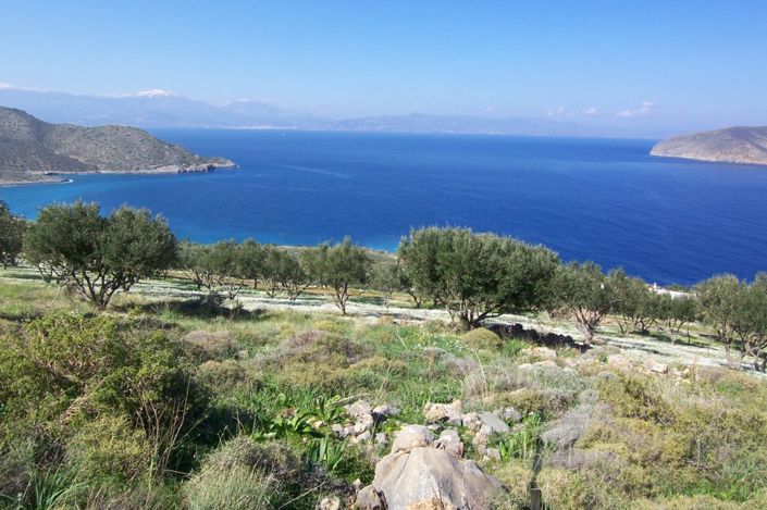 Image No.13-Plot for sale