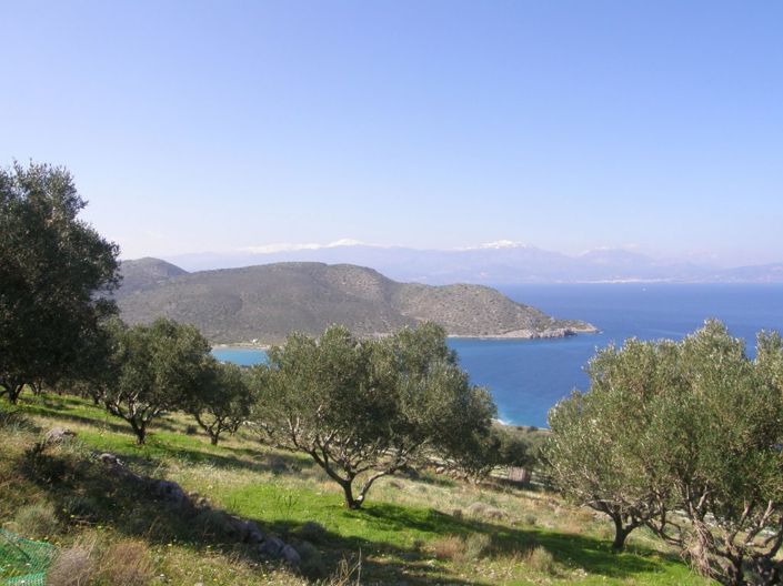 Image No.14-Plot for sale