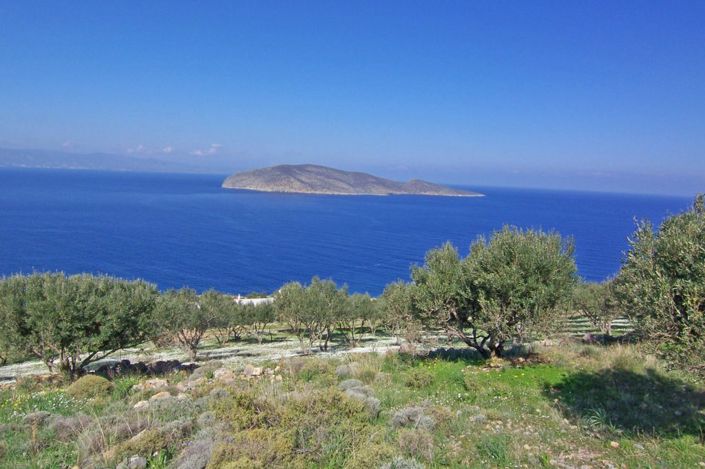 Image No.3-Plot for sale