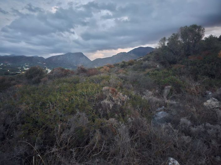 Image No.20-Plot for sale