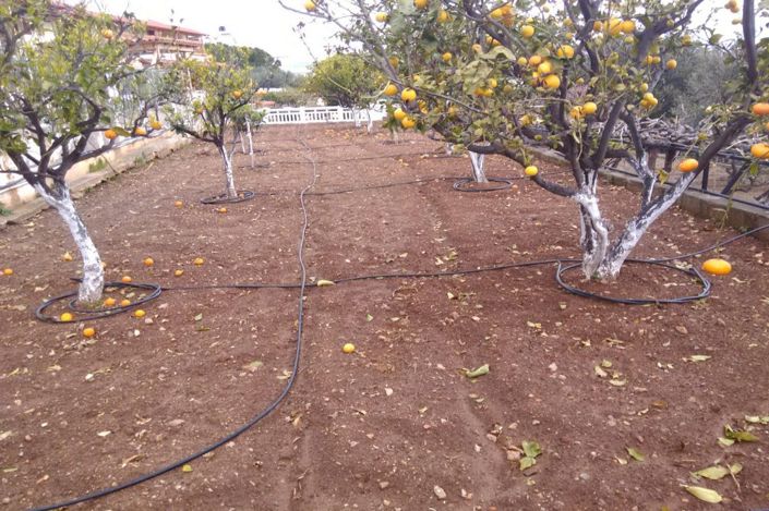 Image No.25-3 Bed House for sale