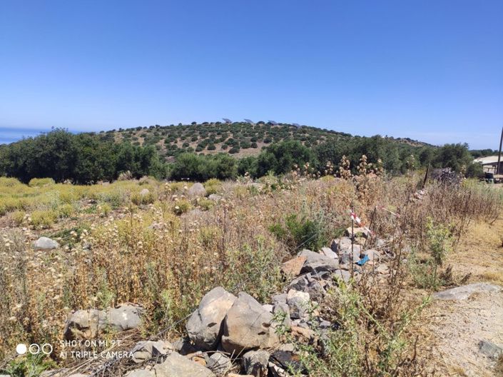 Image No.12-Land for sale