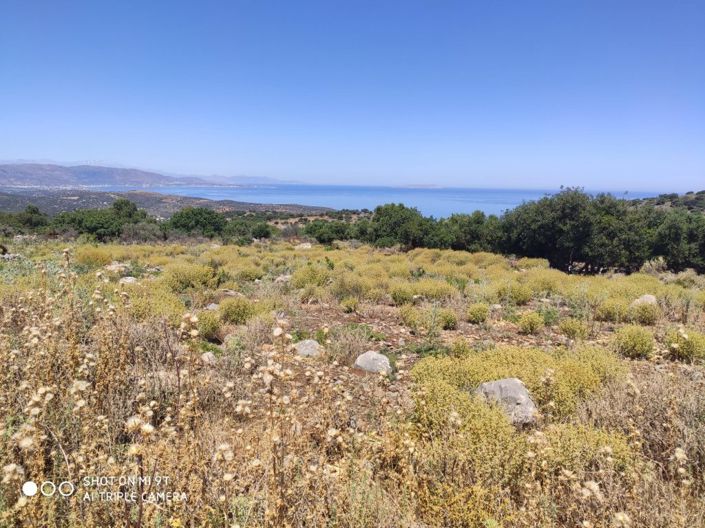 Image No.15-Land for sale