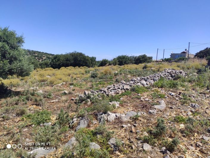 Image No.9-Land for sale